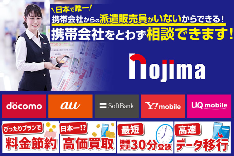 まとめ:Google Pixel 11の購入はノジマへ!