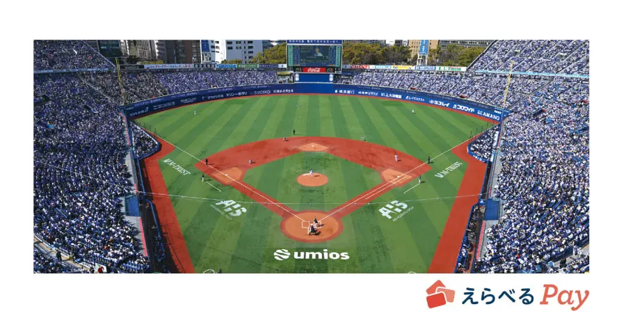 横浜DeNAベイスターズ満喫コース